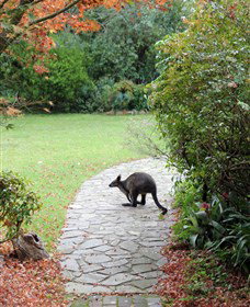 Narek Galleries - Maitland Accommodation 2