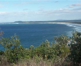 Delicate Beach - Maitland Accommodation 0
