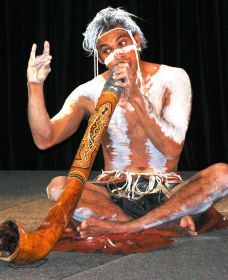 Dhinawan Dreaming - Maitland Accommodation 0