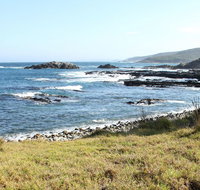 Mimosa Rocks National Park - Maitland Accommodation