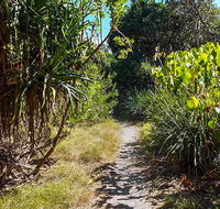 North Head walking track - Maitland Accommodation