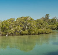 Tyagarah Nature Reserve - Maitland Accommodation