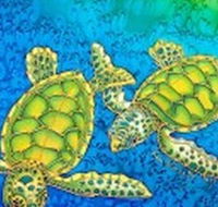 Sea Silks Gallery - Maitland Accommodation