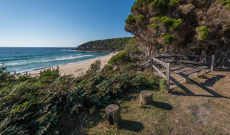 South Coast NSW Maitland Accommodation