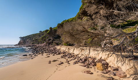 Terrace Beach And Lennards Island - Maitland Accommodation 2