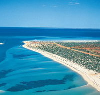 Monkey Mia - Maitland Accommodation