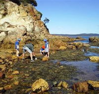 Sapphire Coast Marine Discovery Centre - Maitland Accommodation