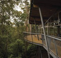Tarkine Forest Adventures - Dismal Swamp - Maitland Accommodation