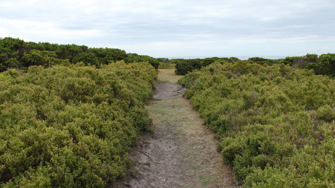 Ben Boyd National Park - Maitland Accommodation 3