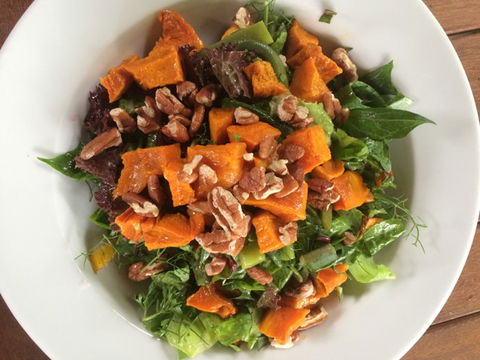 Djanbung Permaculture Gardens - Maitland Accommodation 4