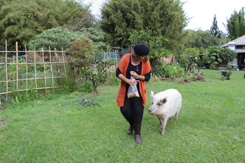 Djanbung Permaculture Gardens - Maitland Accommodation 7