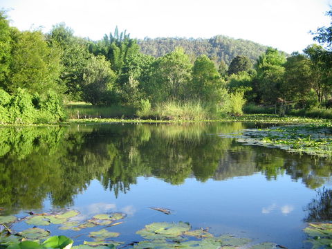 Djanbung Permaculture Gardens - Maitland Accommodation 10