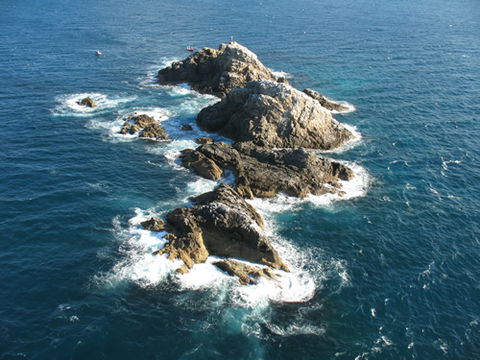 Cape Byron Marine Park - Maitland Accommodation 1