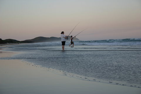 Cape Byron Marine Park - Maitland Accommodation 2