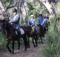 Mirravale Horse Riding School - Maitland Accommodation