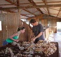 Peron Homestead - Maitland Accommodation