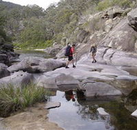 Nadgee Wilderness Walk - Maitland Accommodation