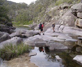 Nadgee Wilderness Walk - Maitland Accommodation 0