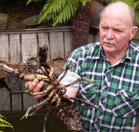 Lobster Ponds - Maitland Accommodation