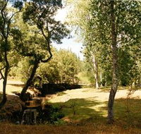 Oldina Picnic Area - Maitland Accommodation