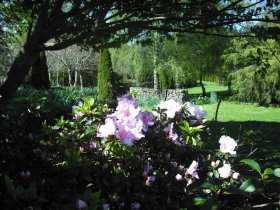 Annsleigh Gardens And Cafe - Maitland Accommodation 3