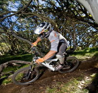 All Terrain Cycles - Maitland Accommodation