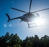 Tall Timbers Adventure Tours - Maitland Accommodation