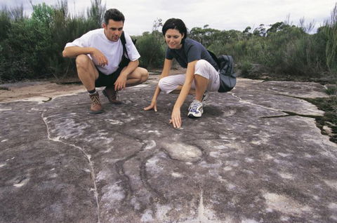 Sydney Coast Walks - Maitland Accommodation 2