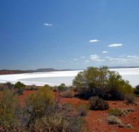 Gawler Ranges Wilderness Safaris - Maitland Accommodation