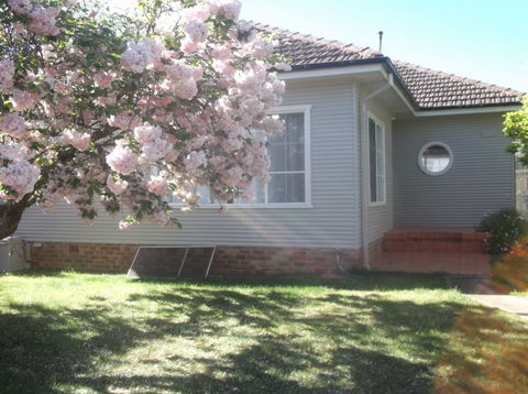 Magnolia Corner - Maitland Accommodation 1