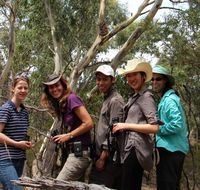 Echidna Walkabout Nature Tours - Maitland Accommodation