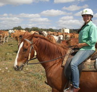 Myella Farm Stay Tours - Maitland Accommodation