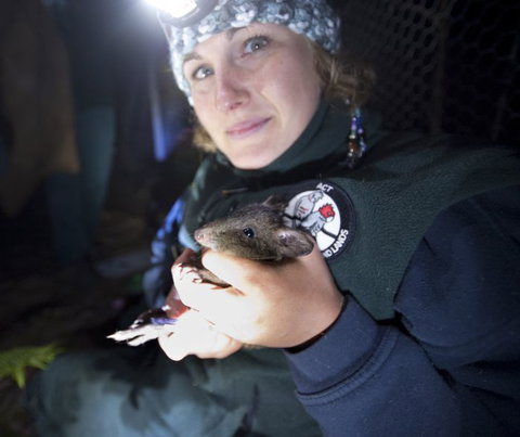 Naturewise At Tidbinbilla - Maitland Accommodation 0