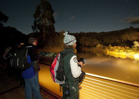 Naturewise At Tidbinbilla - Maitland Accommodation 1