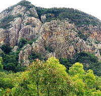 Mount Greville Track - Maitland Accommodation
