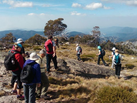 Hedonistic Hiking - Maitland Accommodation 0