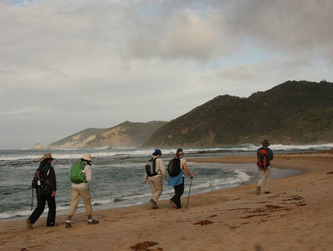 Hedonistic Hiking - Maitland Accommodation 2