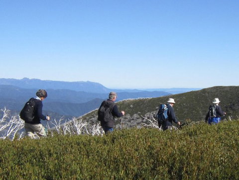 Hedonistic Hiking - Maitland Accommodation 6