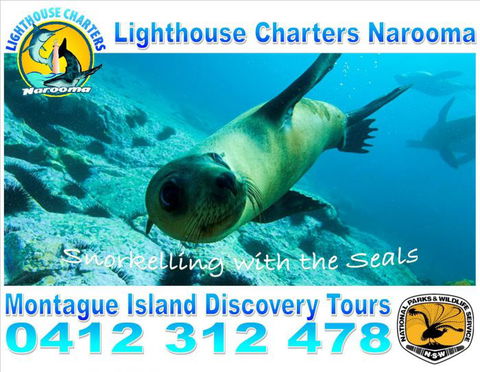 Lighthouse Charters Narooma - Maitland Accommodation 11