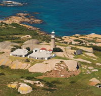 Naturewise Montague Island Nature Escape - Maitland Accommodation