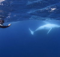 Sunreef Mooloolaba - Maitland Accommodation