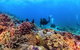 Sunreef Mooloolaba - thumb 8