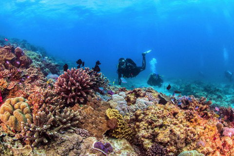 Sunreef Mooloolaba - Maitland Accommodation 8