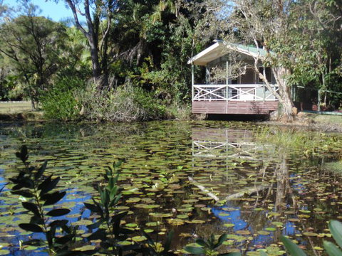 Darlington Beach NRMA Holiday Park - Maitland Accommodation 5
