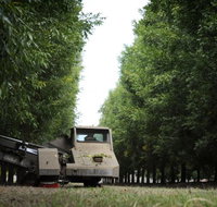 ODempseys Charters and Tours - Maitland Accommodation