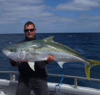 Reef Encounters Fishing Charters. - Maitland Accommodation