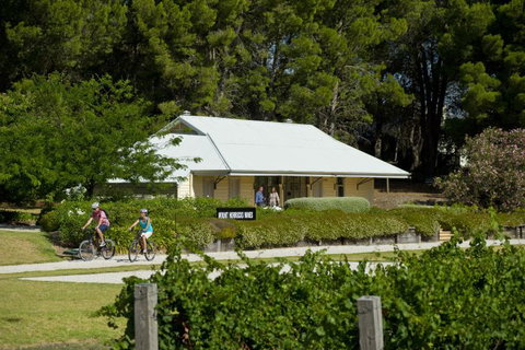 Tour De Vines - Maitland Accommodation 1