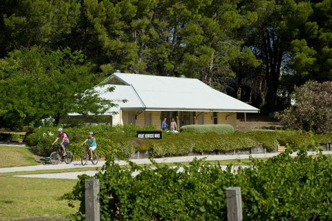 Tour De Vines - Maitland Accommodation 5