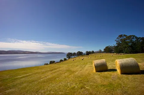 Coast House Tasmania - Maitland Accommodation 4