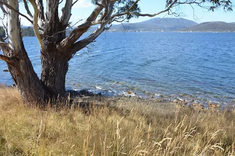 Coast House Tasmania - Maitland Accommodation 8